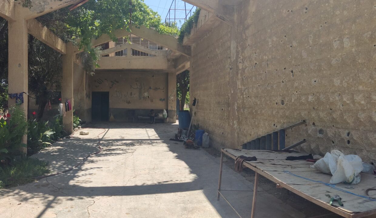 PXL_20250625_104524975.PHOTOSPHERE