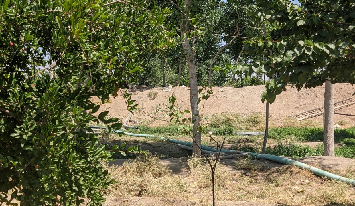 PXL_20250625_105032375.MP