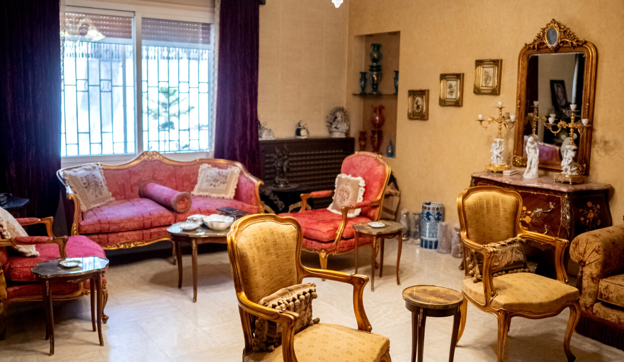 Majd Darwich - Syria Home Photos - (18)