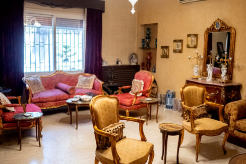 Majd Darwich - Syria Home Photos - (18)