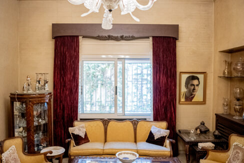 Majd Darwich - Syria Home Photos - (29)