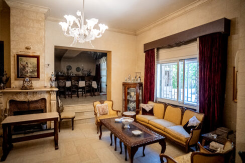 Majd Darwich - Syria Home Photos - (32)