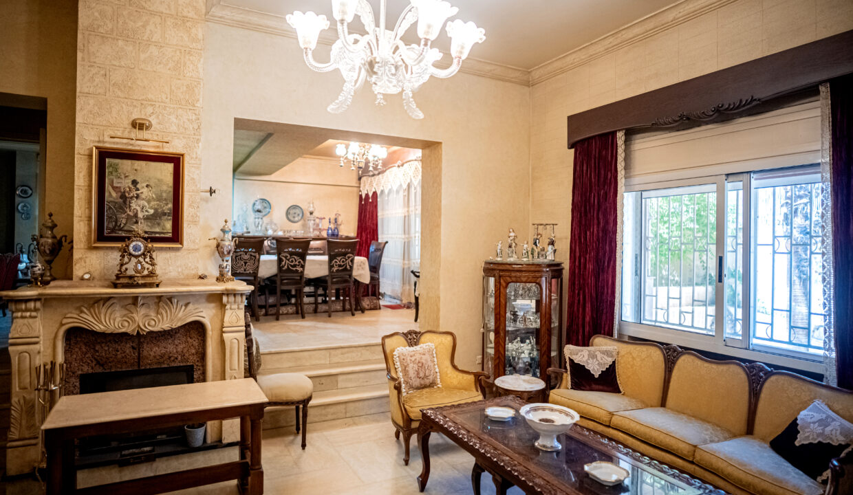 Majd Darwich - Syria Home Photos - (33)