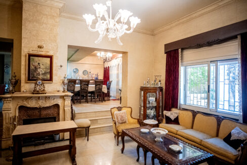 Majd Darwich - Syria Home Photos - (33)