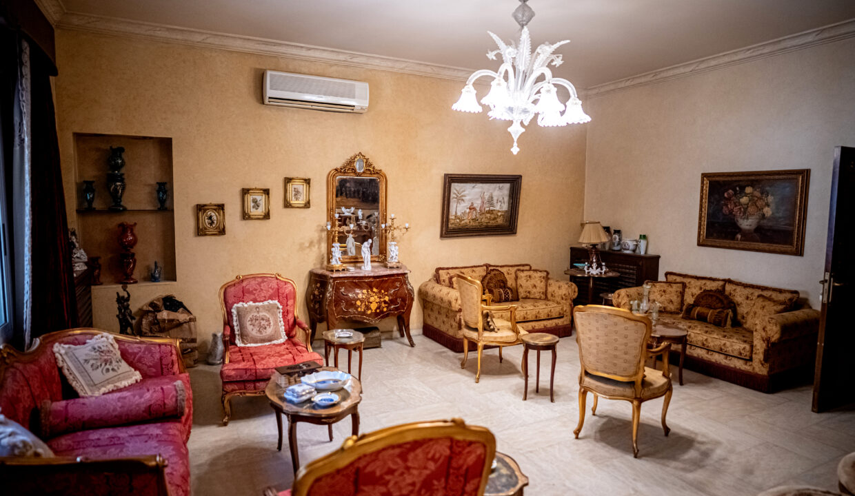 Majd Darwich - Syria Home Photos - (47)