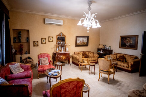 Majd Darwich - Syria Home Photos - (47)
