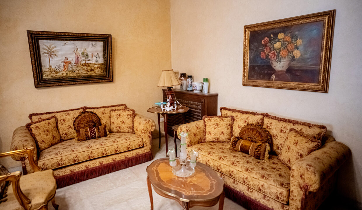 Majd Darwich - Syria Home Photos - (49)