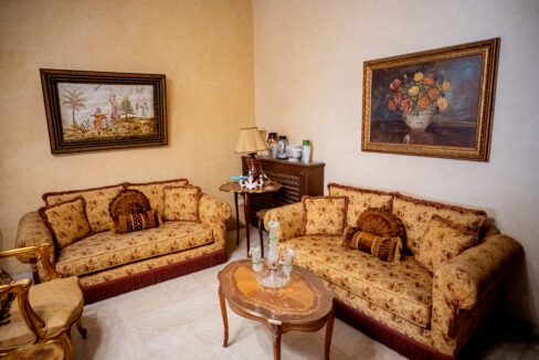 Majd Darwich - Syria Home Photos - (49)