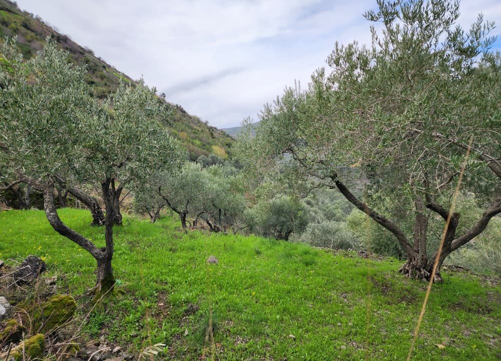 PHOTO-2026-02-27-12-27-45[1]