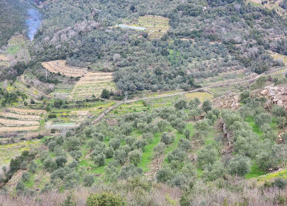 PHOTO-2026-02-27-12-27-45(1)[1]