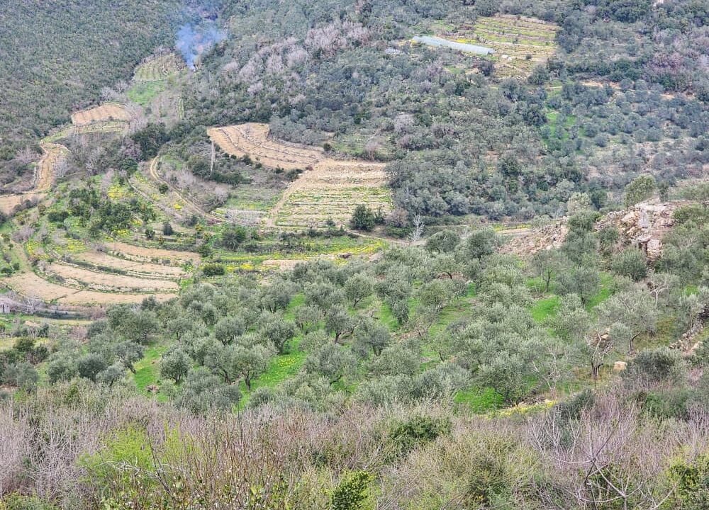 PHOTO-2026-02-27-12-27-45(2)[1]