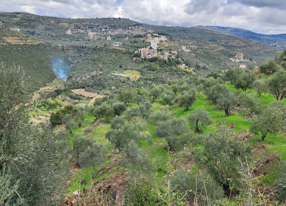 PHOTO-2026-02-27-12-27-46[1]