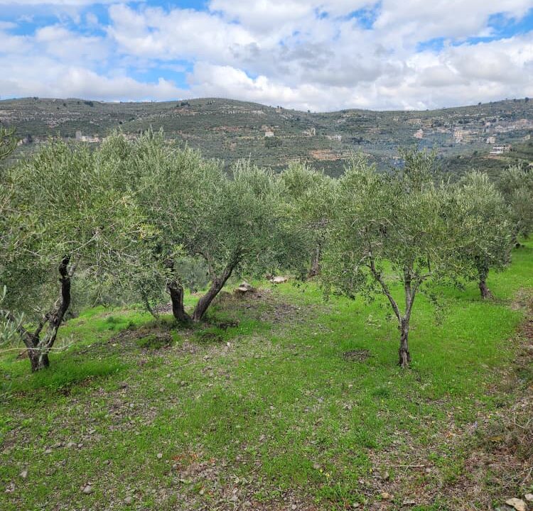 PHOTO-2026-02-27-12-27-46(1)[1]