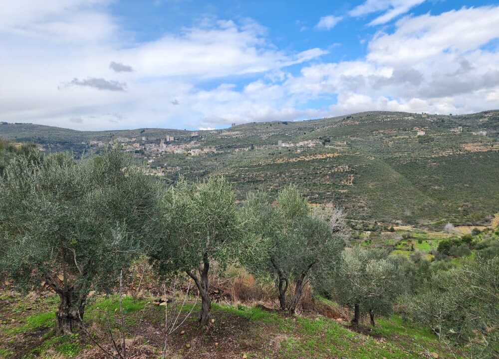 PHOTO-2026-02-27-12-27-46(2)[1]