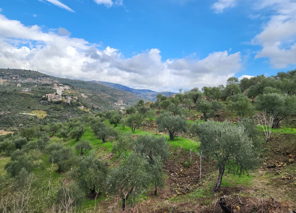 PHOTO-2026-02-27-12-27-46(3)[1]