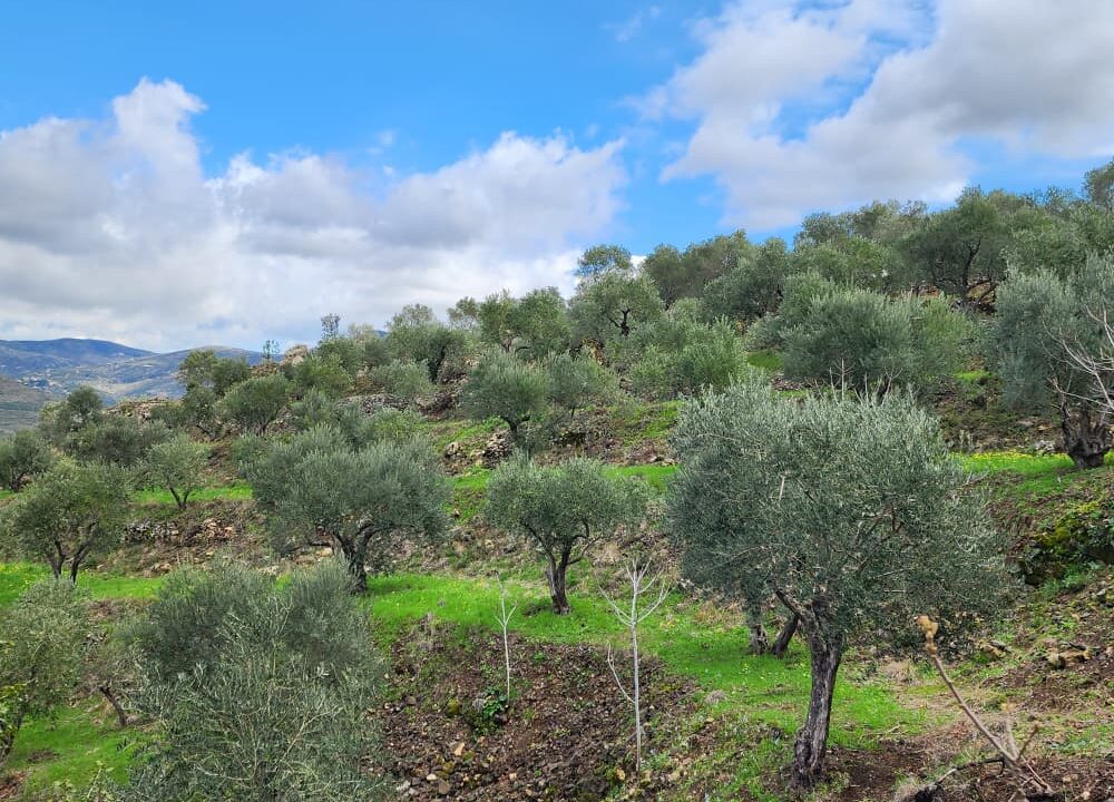 PHOTO-2026-02-27-12-27-46(4)[1]