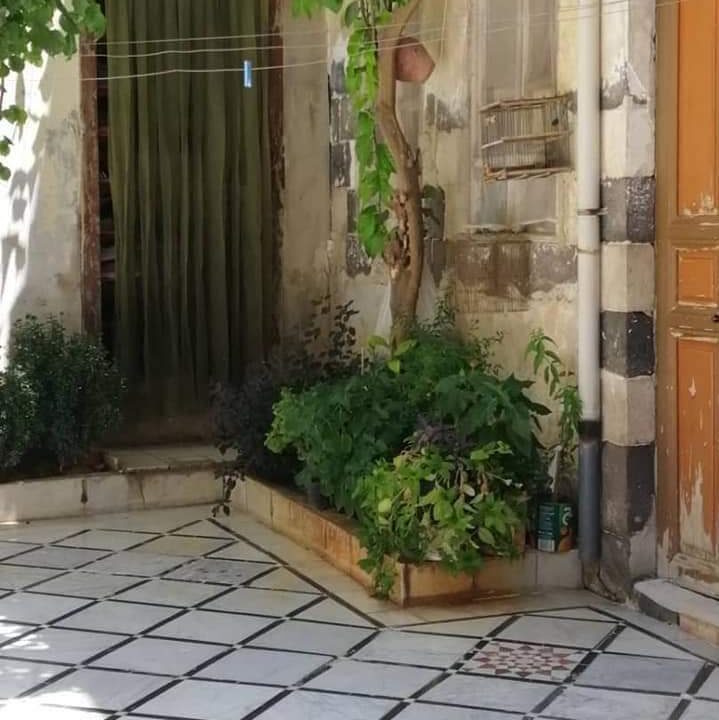 PHOTO-2026-03-31-10-17-54(2)[1]