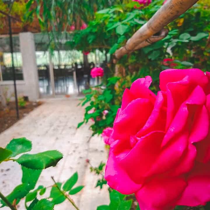 PHOTO-2026-03-31-10-26-05(1)[1]